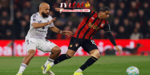 mu chia diem dang tiec